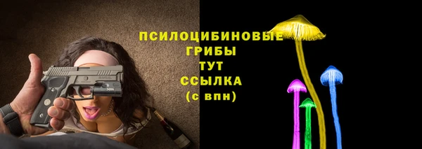 Альфа ПВП Аркадак