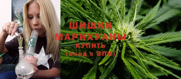 прущий лед Арсеньев