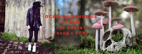 МДПВ Армянск