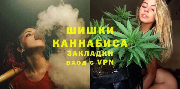 Альфа ПВП Аркадак