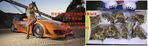прущий лед Арсеньев